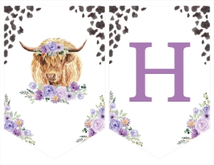 holy cow birthday banner C007: 1656453354