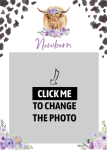 1669992793 design preview