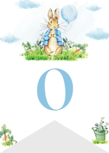 peter rabbit birthday highchair banner P007: 1689786459