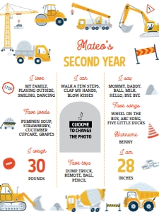 construction 2nd birthday milestone poster 18x24 C013: 1705504757