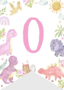 girl dinosaur birthday highchair banner D014: 1726333738