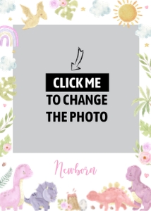 girl dinosaur birthday photo banner D014: 1740521443