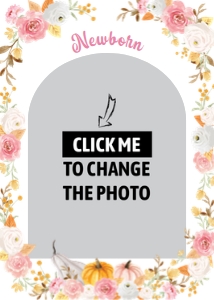 pumpkin birthday photo banner P015: 1762281720