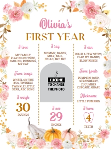 pumpkin birthday milestone poster 18x24 P015: 1768021516