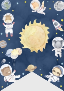 outer space wild one highchair banner O012: 4315955186