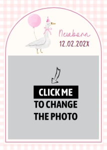 one silly goose photo banner G006: 1888477983