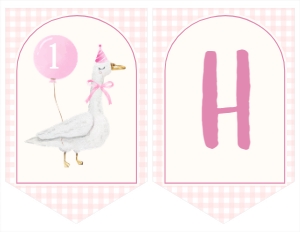 one silly goose birthday banner G006: 1874285440