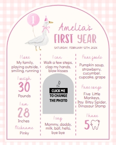 one silly goose milestone poster 16x20 G006: 1888475265