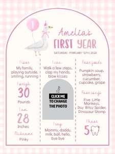 one silly goose milestone poster 18x24 G006: 1888475265