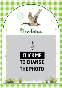 green one lucky duck birthday photo banner L007: 1869158765