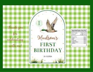 green one lucky duck birthday chip bag L007: 1871283799