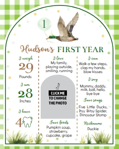 green one lucky duck birthday milestone poster 16x20 L007: 1849579670