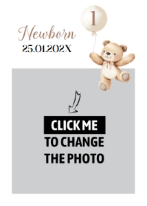 beary first birthday photo banner B022: 1872664823