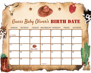 Cowboy Baby Duedate Calendar R007: 4456993374