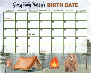 Camping Baby Duedate Calendar C006: 4330414168