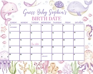 Girl Ocean Baby Duedate Calendar O015: 4355883295