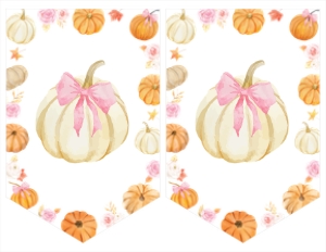 pumpkin baby shower banner P018: 4362869318