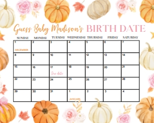 Pumpkin Baby Duedate Calendar P018: 4362869318