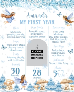 winter fairy birthday milestone poster 16x20 W020: 4373893801