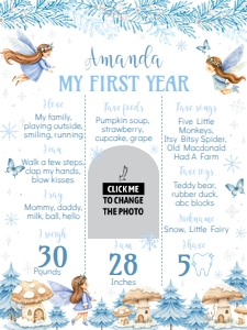 winter fairy birthday milestone poster 18x24 W020: 4373893801