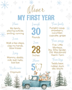 winter woodland birthday milestone 16x20 W021: 4377414475