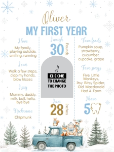 winter woodland birthday milestone poster 18x24 W021: 4377410332