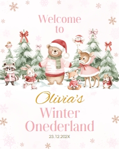 Winter Onederland Welcome Sign W022: 4407637284