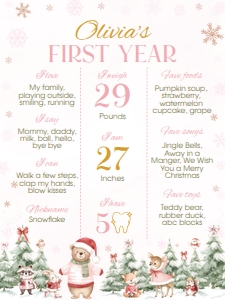 Winter Onederland Milestone 18x24 W022: 4407636302