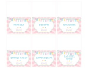 Pastel Circus Food Cards- Pink Burst: Pastel Circus Party Kit- Pink Burst