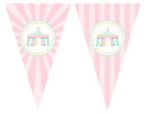 Pastel Circus Pennant Banner- Divider Pieces: Pastel Circus Party Kit- Pink Stripes