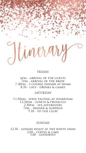 RGC - Itinerary Mobile design preview