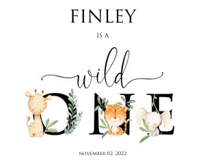 SF4 - Wild One Party Sign MLS design preview
