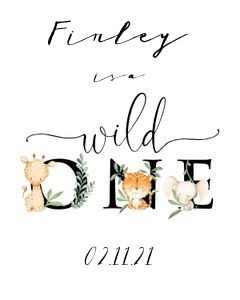 SF4 - Wild One Welcome Party Sign design preview