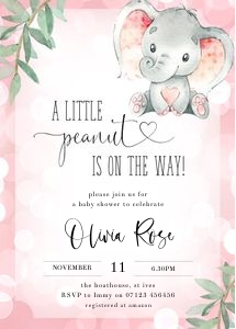 PE1 - Baby Shower Invite - 5x7 design preview