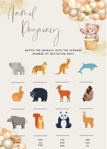 BB2 - Animal Pregnancy design preview