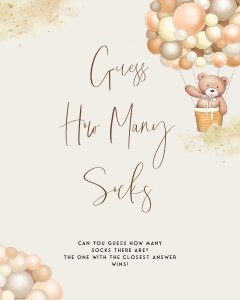 BB2 - Guess The Socks design preview