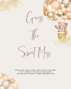 BB2 - Guess The Sweet Mess design preview