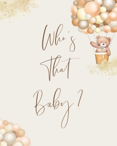 BB2 - Who's That Baby design preview