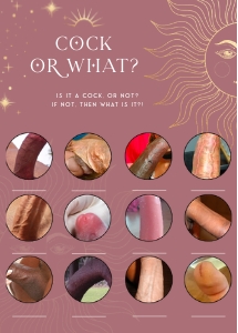 SL1 - Cock or What design preview