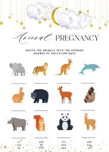 LS1 - Animal Pregnancy Game design preview