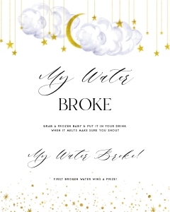 LS1 - My Water Broke Sign - 8x10: LS1 - My Water Broke