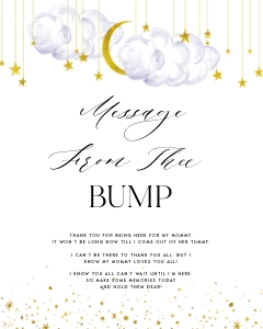 LS1 - Message From The Bump Sign - 8x10: LS1 - Message From The Bump