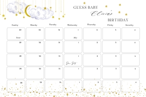 LS1 - Guess The Baby Birthday - 30x20: LS1 - Guess The Baby Birthday