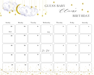 LS1 - Guess The Baby Birthday - 20x16: LS1 - Guess The Baby Birthday