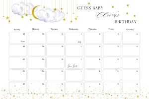 LS1 - Guess The Baby Birthday - 36x24: LS1 - Guess The Baby Birthday