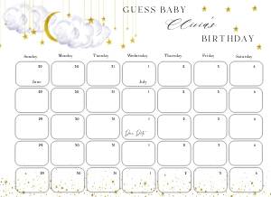 LS1 - Guess The Baby Birthday - 11.7x8.5: LS1 - Guess The Baby Birthday