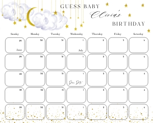 LS1 - Guess The Baby Birthday - 10x8: LS1 - Guess The Baby Birthday