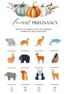 PM1 - Animal Pregnancy design preview