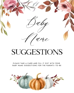 PM1 - Baby Name Suggestions design preview