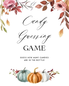 PM1 - Candy Guessing Game design preview